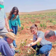 دائرتا وقاية النبات وزراعة النبك تنفذ جولة وقائية لحقول الوردة الشامية في قرية المراح